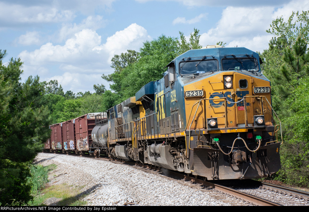 CSX 5239 leads M841 south at Sandy Bottom Roa